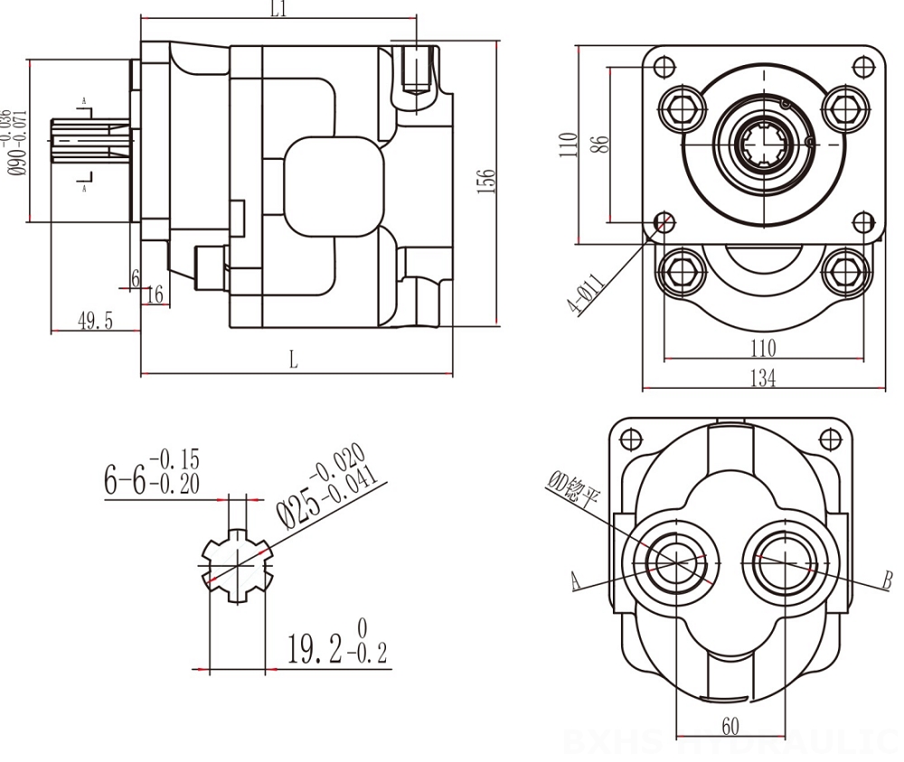 CBHS-F550 50 cc/rev Hydraulic Gear Pump drawing image