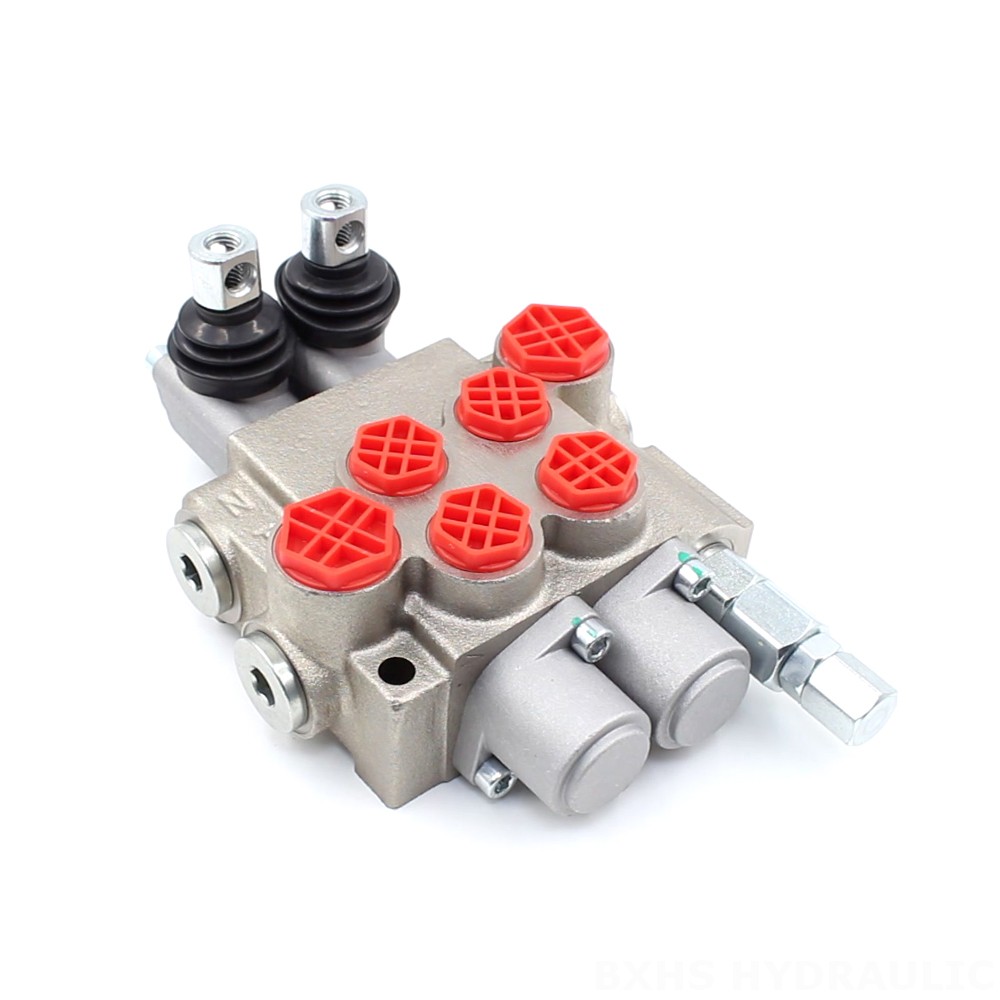 P40-XNHJ Manual 2 Spool Monoblock Directional Valve image