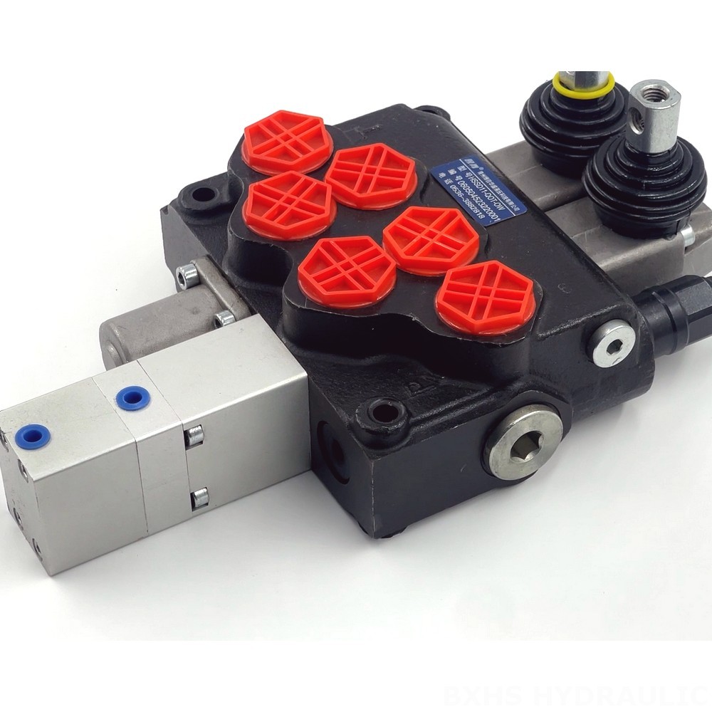 SD11 Manual 1 Spool Monoblock Directional Valve detail image