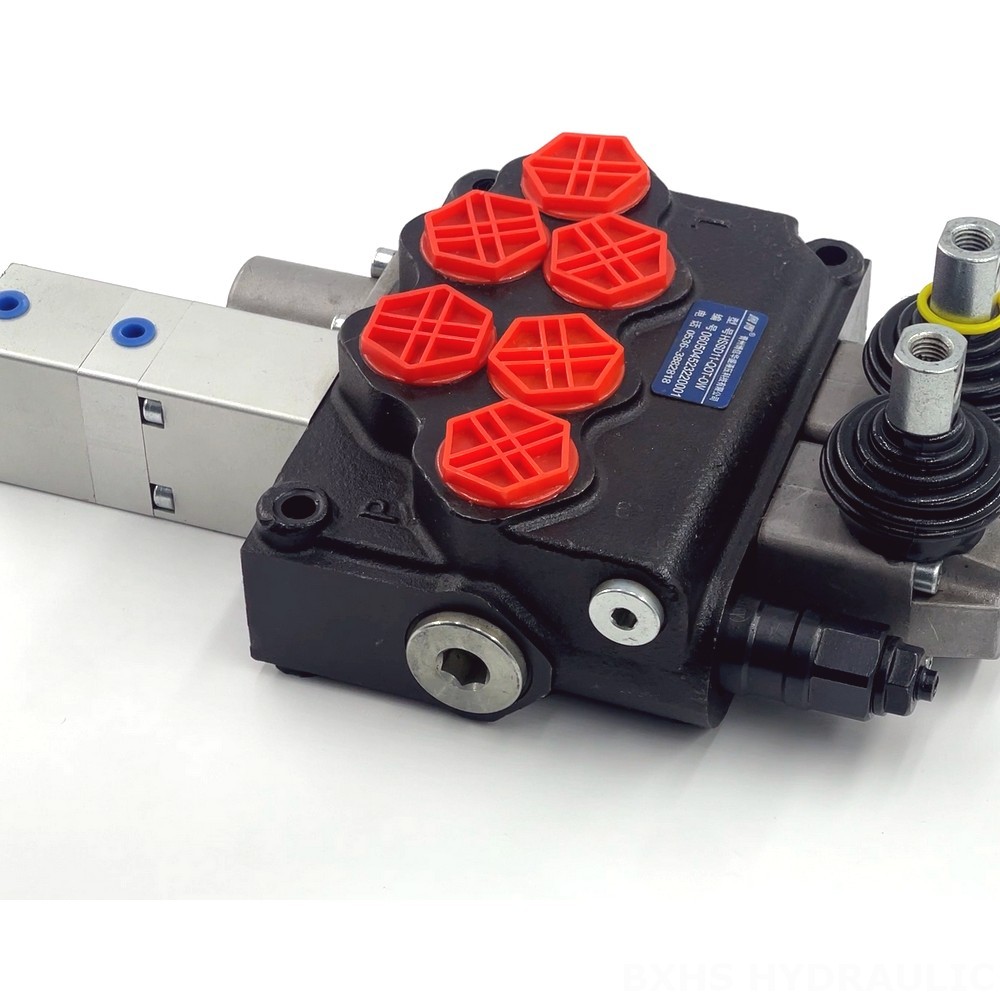 SD11 Manual 1 Spool Monoblock Directional Valve detail image
