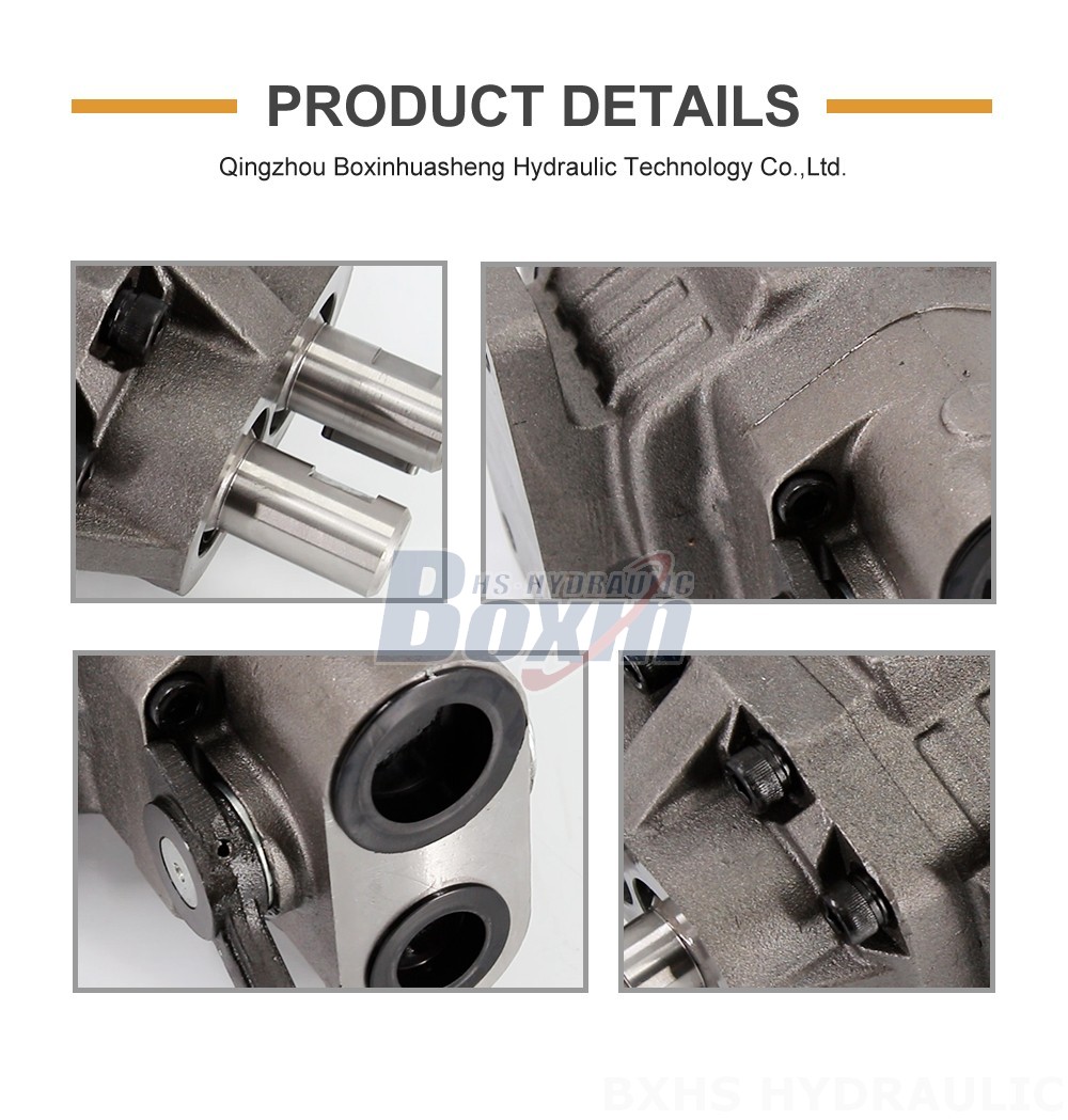 BF110M Hydraulic Gear Pump: OEM, ODM, Private Label, and Custom Solutions Available detailed image