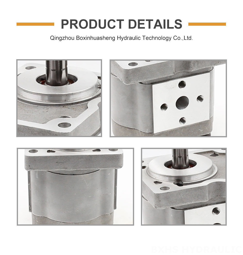NSH-10 10 cc/rev Hydraulic Gear Pump detailed image