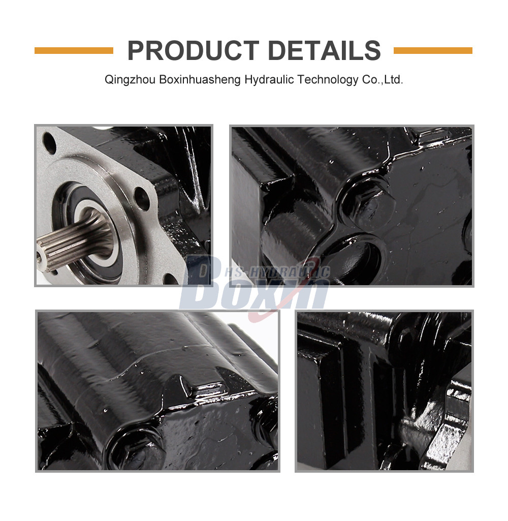 P51A646TEYR25-25 104.5 cc/rev 16 MPa (2320 psi) Hydraulic Gear Pump detailed image