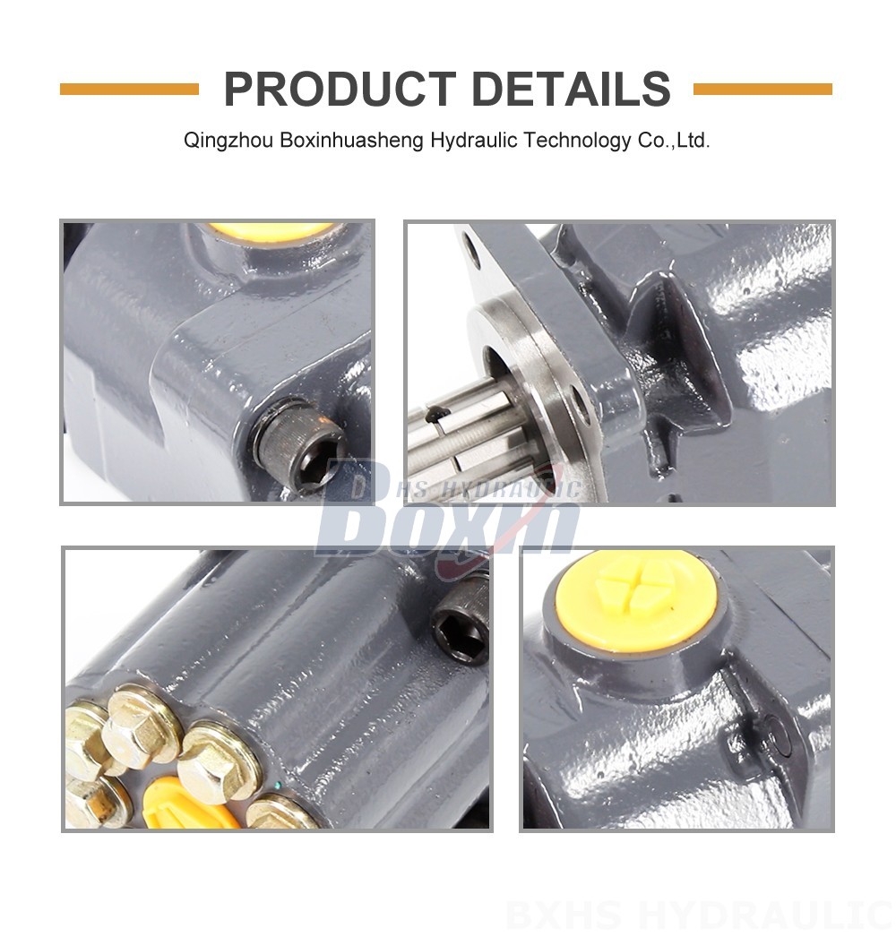 P9-80-H 80 cc/rev 25 MPa (3625 psi) Hydraulic Piston Pump detailed image