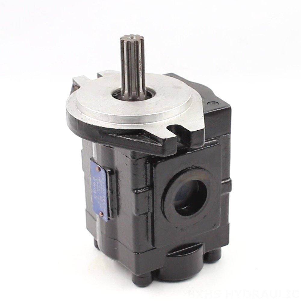 20 cc/rev Hydraulic Gear Pump: High Flow & Efficiency | Wholesale Prices 20 cc/rev  Hydraulic Gear Pump image