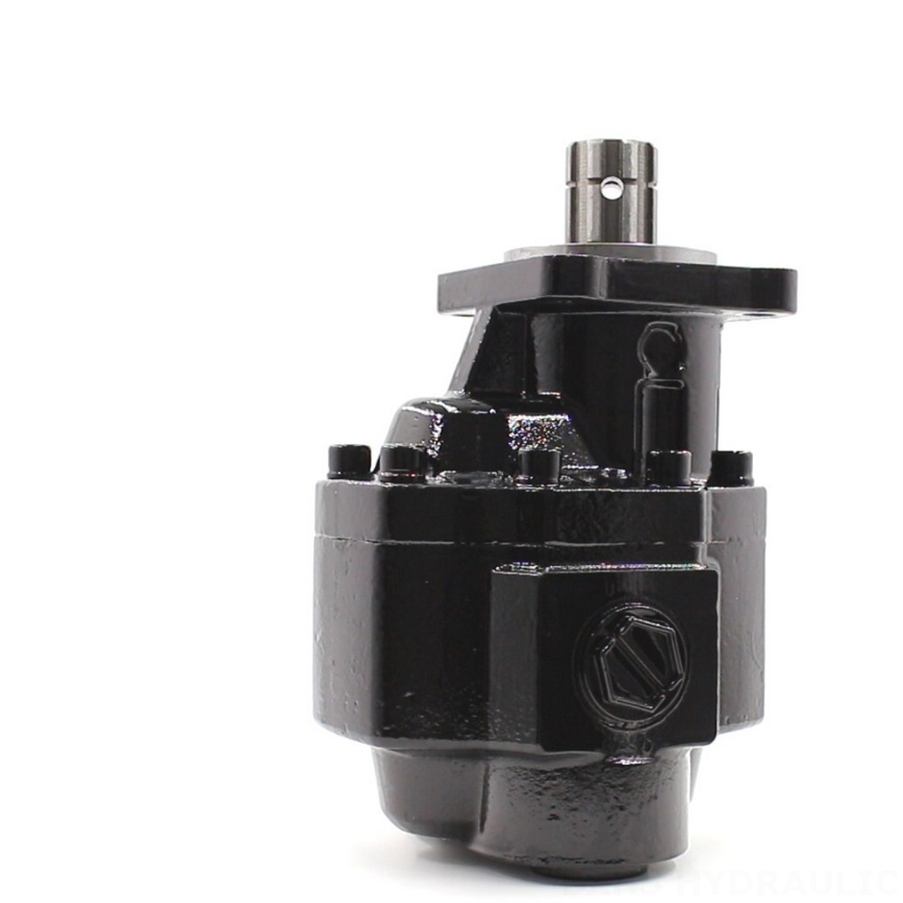 Gear Oil Pump Custom Hydraulic Gear Pumps CBHST1-ISO-63: Engineered to Your Specifications image