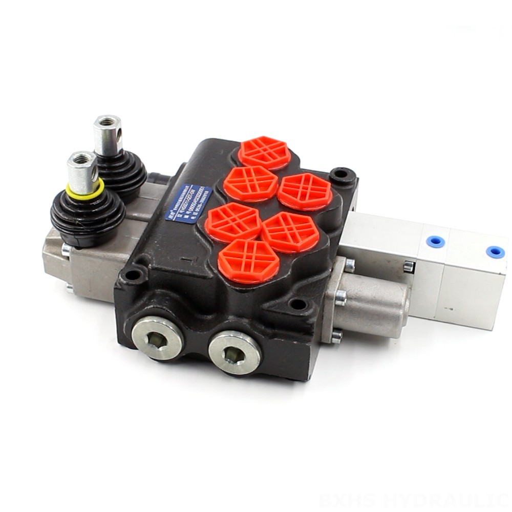 Source Directly from the Manufacturer: SD11 Valve for Wholesale and Distribution main image