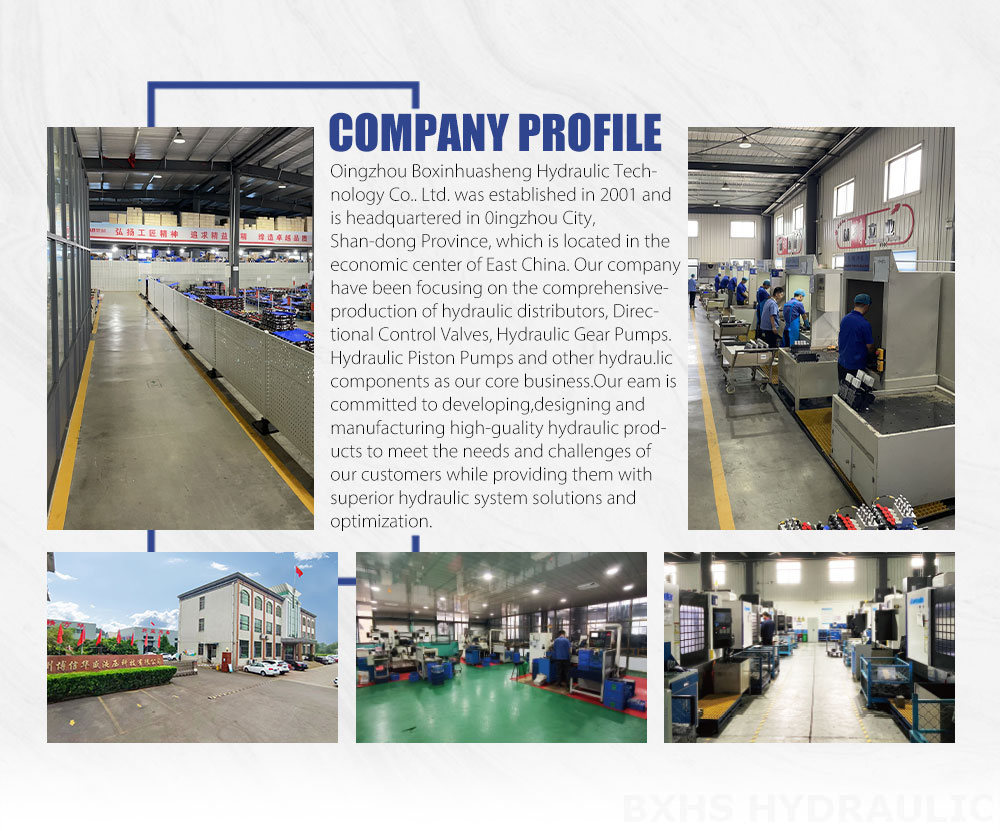 Seeking Distributors Worldwide: DCV60 Directional Valves - A Lucrative Opportunity company image